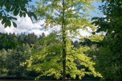 k-P1170631
