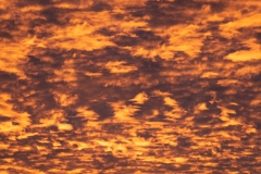 k-P1200254