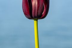 k-P1230522