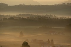 k-P1025934
