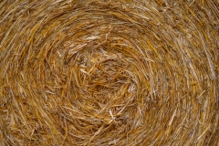 k-P1270511