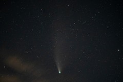 k-P1091992