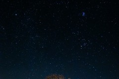 k-P1390688