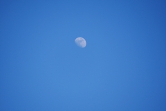 k-P1000076