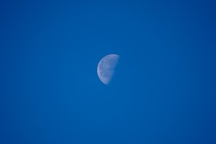 k-P1076571