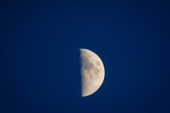 k-P1160398