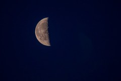 k-P1190261