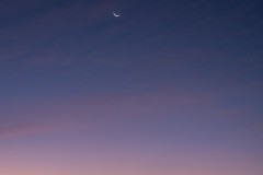 k-P1131039