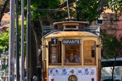 k-P1230832