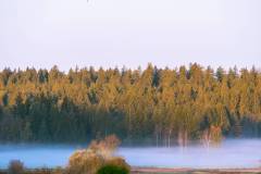 k-P1001400