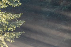 k-P1047714