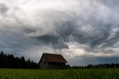 k-P1051051
