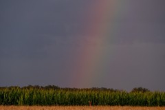 k-P1102369