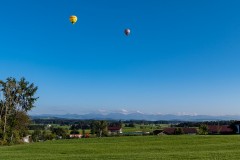 k-P1129245
