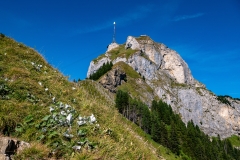 k-P1160904