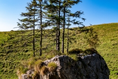 k-P1160932