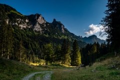 k-P1160949