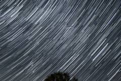 k-Startrail-Oskar-Sailer-Eiche-2