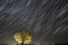 k-Startrail-Oskar-Sailer-Eiche