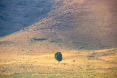 k-P1067937-Verbessert-RR